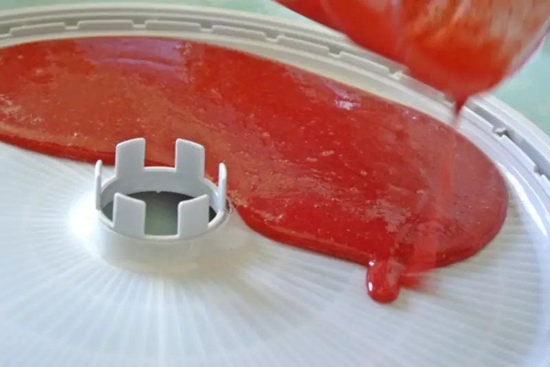 Įdėklas maisto džiovyklei Ezidri FD500 - Image 2