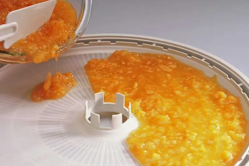 Įdėklas maisto džiovyklei Ezidri FD500 - Image 4