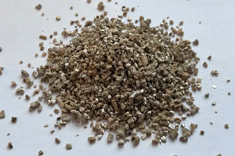 Vermikulitas vidutinis